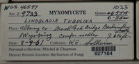 Image Associated With the Occurence